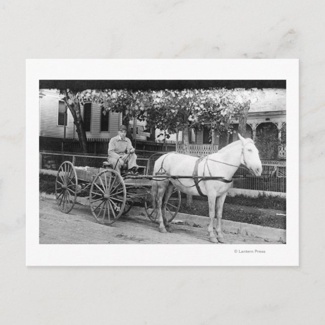 Carte Postale Cheval tirant Livraison Wagon photo (Devant)