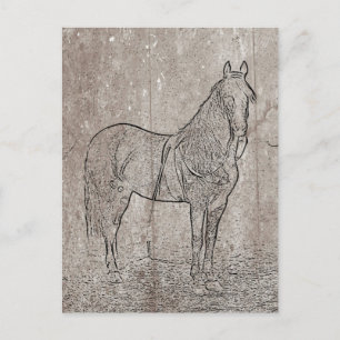 Carte postale Cheval Union vintage de la Guerre ci