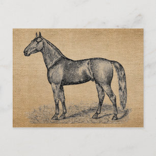 Carte Postale Cheval Vintage Burlap