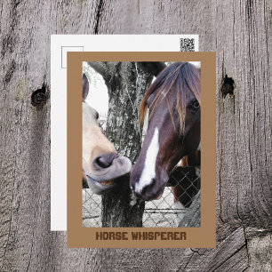 Carte Postale Cheval Whisperer Deux Chevaux Drôle photographique