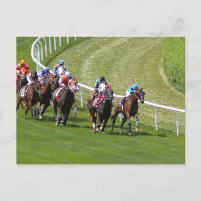 Carte Postale Chevaux (Devant)