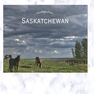 Carte Postale Chevaux à Mortlach Saskatchewan Canada