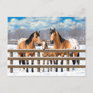 Carte Postale Chevaux Appaloosa En Peau De Bouche En Neige