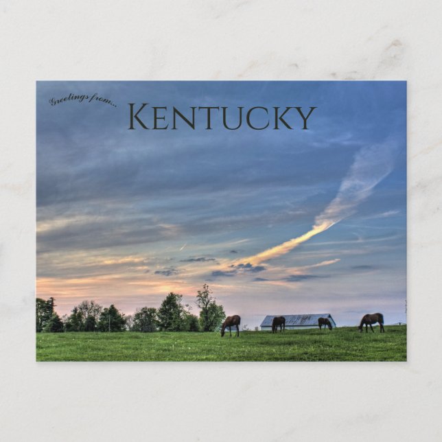 Carte Postale Chevaux au coucher du soleil à Lexington Kentucky (Devant)