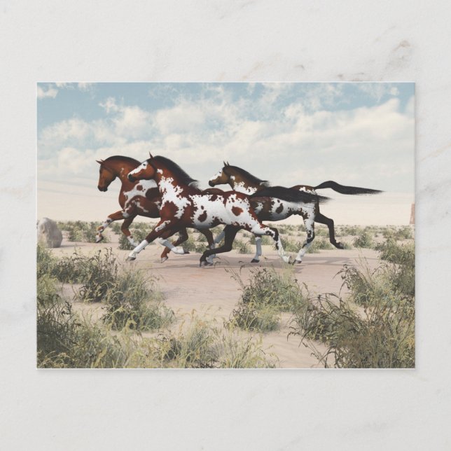 Carte postale Chevaux au galop (Devant)