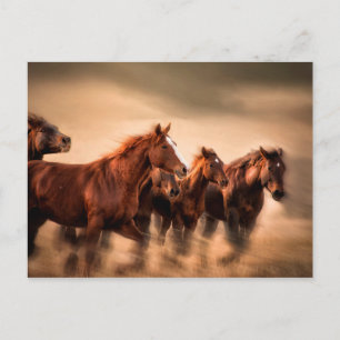 Carte Postale Chevaux au galop, flou et crinières volantes