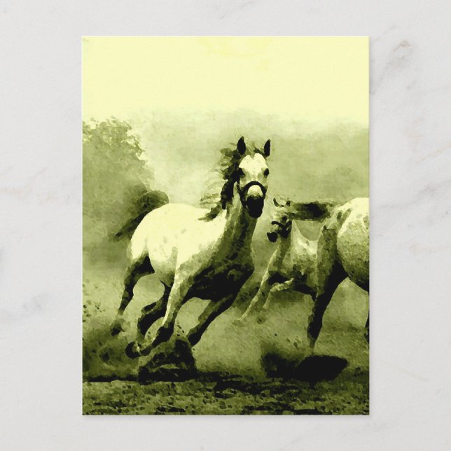 Carte Postale Chevaux de course (Devant)