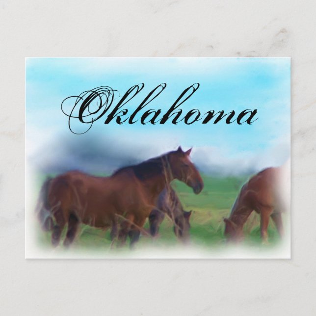 Carte Postale Chevaux de l'Oklahoma (Devant)