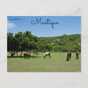 Carte Postale Chevaux de pâturage en musique