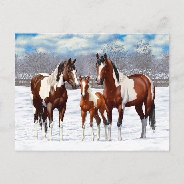 Carte Postale Chevaux De Peinture De Baie Pinto En Neige D'Hiver (Devant)