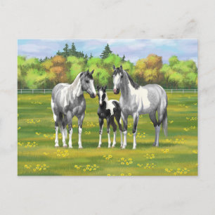 Carte Postale Chevaux De Peinture Gris De Pâte De Poisson En Été
