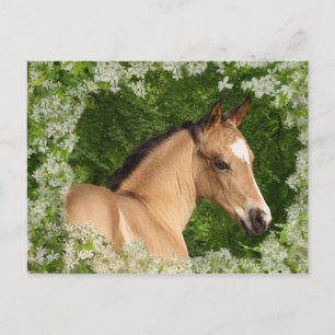 Carte Postale Chevaux d'Imaginaire : Fleurs