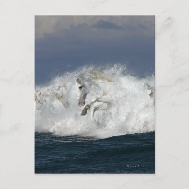 Carte Postale Chevaux d'imaginaire : Mer (Devant)