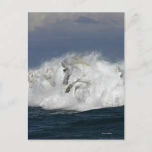 Carte Postale Chevaux d'imaginaire : Mer