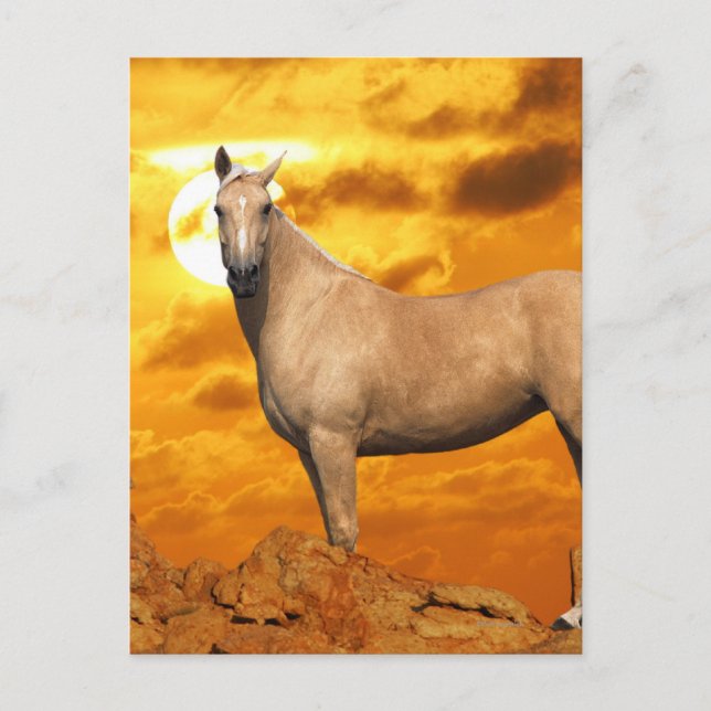 Carte Postale Chevaux d'Imaginaire : Montagne (Devant)