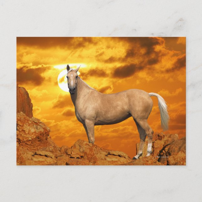 Carte Postale Chevaux d'Imaginaire : Montagne (Devant)