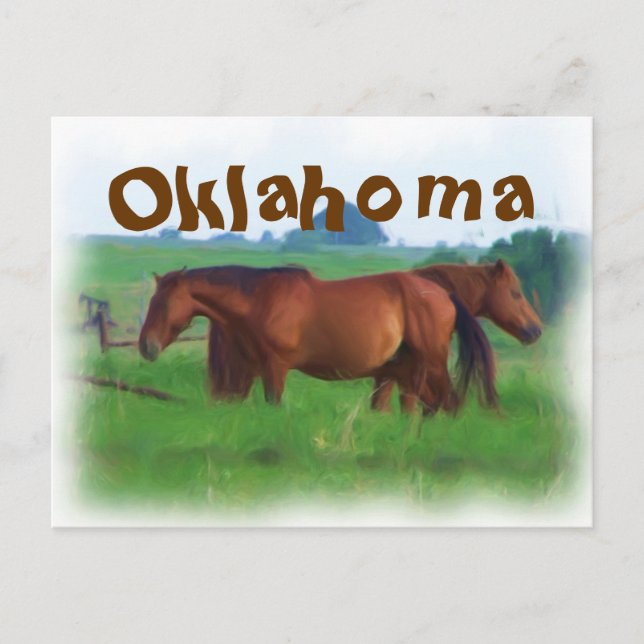 Carte Postale Chevaux d'Oklahoma 2 (Devant)