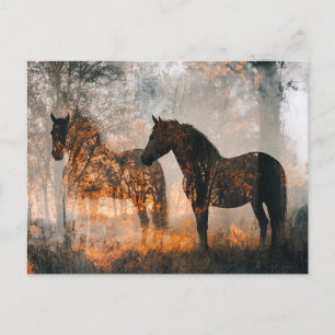 Carte Postale Chevaux Double exposition