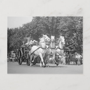 Carte Postale Chevaux du service d'incendie, 1925