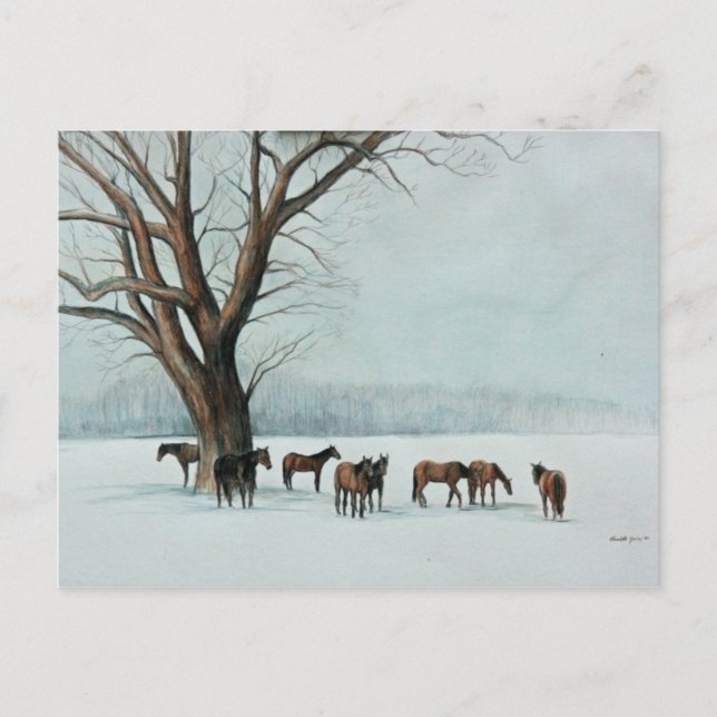 Carte postale "Chevaux en neige" (Devant)
