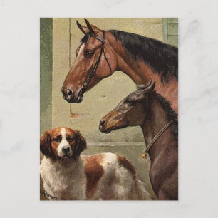 Carte Postale Chevaux et St Bernard Art Vintage