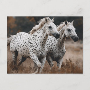 Carte Postale Chevaux Leopard Appaloosa Galloping