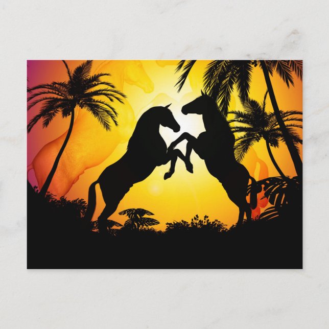 Carte Postale Chevaux noirs (Devant)