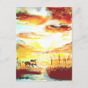 Carte Postale Chevaux sauvages.