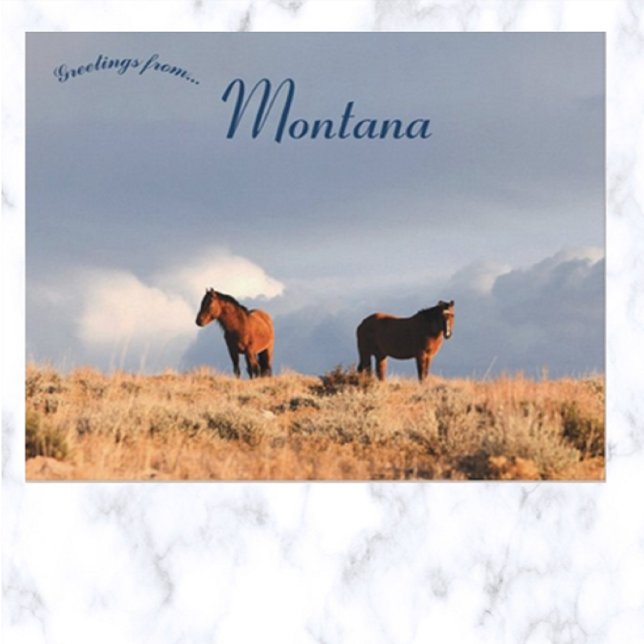 Carte Postale Chevaux sauvages dans le Montana (Créateur téléchargé)