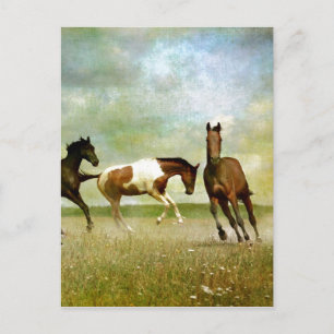 Carte Postale Chevaux Sauvages en Liberté - Art Créatif Vintage