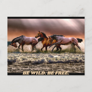 Carte Postale Chevaux sauvages - soyez sauvages. soyez libres.