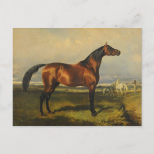 Carte Postale Chevaux sauvages vintages par Alfred de Dreux