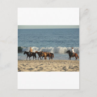 Carte Postale Chevaux sur la plage