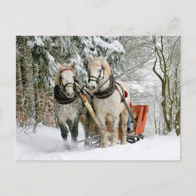 Carte Postale Chevaux Transporteurs d'hiver Diapositive Passage (Devant)
