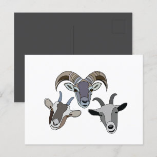 Carte Postale Chèvre animal drôle chèvre