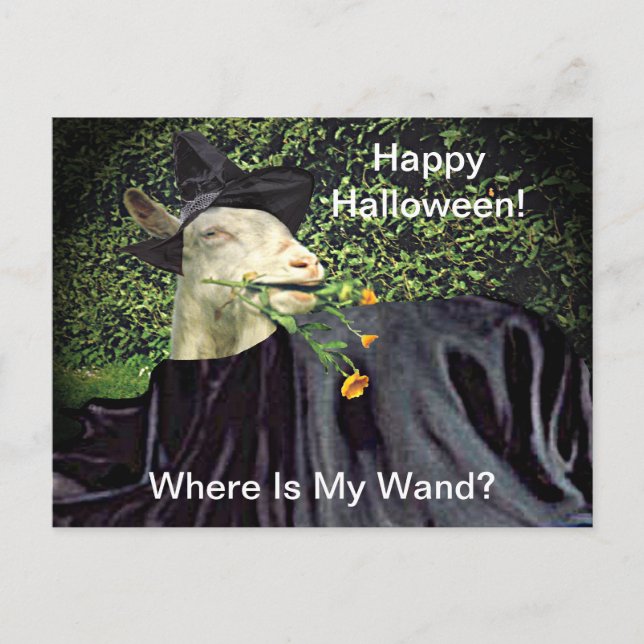 Carte Postale Chèvre de l'Assistant Halloween (Devant)