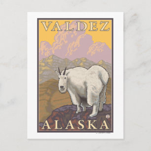 Carte Postale Chèvre de montagne - Valdez, Alaska