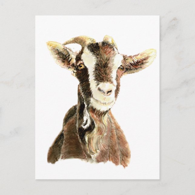 Carte Postale Chèvre mignonne, animal, animal de ferme (Devant)