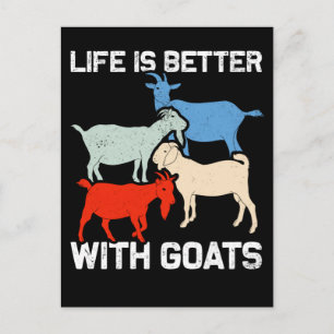 Carte Postale Chèvres Rétro Humour Animal Fan de Chèvre