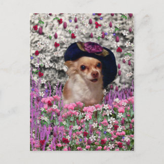 Carte postale Chi Chi en Fleurs - Chihuahua