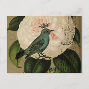Carte Postale Chic Vintage Oiseau camélia art botanique français