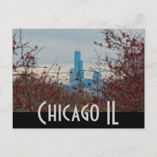 Carte Postale chicago