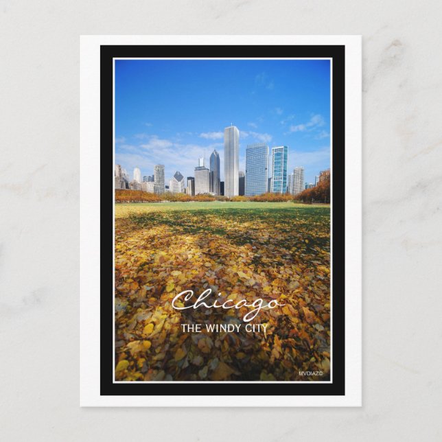 Carte Postale Chicago, la VILLE VENTEUSE (Devant)