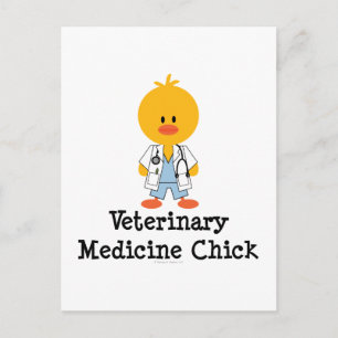 Carte postale Chick en médecine vétérinaire