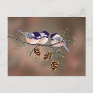 Carte Postale CHICKADEES & PINECONES par SHARON SHARPE