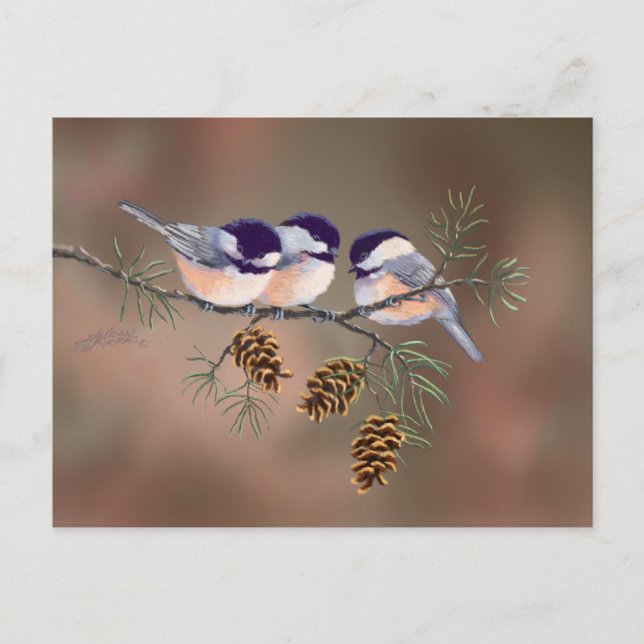 Carte Postale CHICKADEES & PINECONES par SHARON SHARPE (Devant)