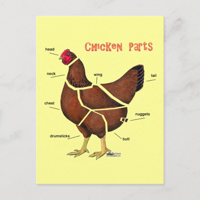Carte Postale Chicken (Devant)