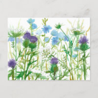Chicory Thistle Queen Annes Lace Fleurs sauvages