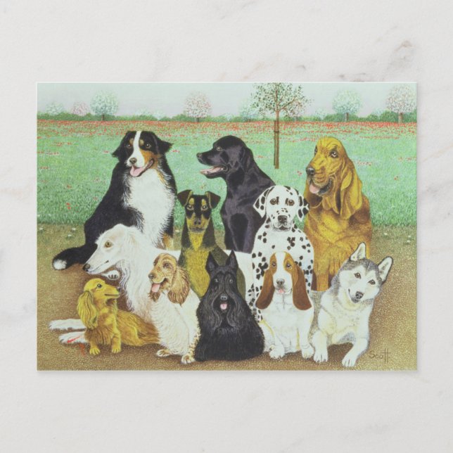 Carte Postale Chien (Devant)