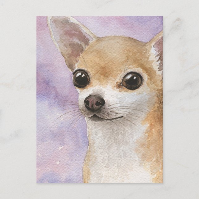 Carte Postale Chien 95 Chihuahua (Devant)